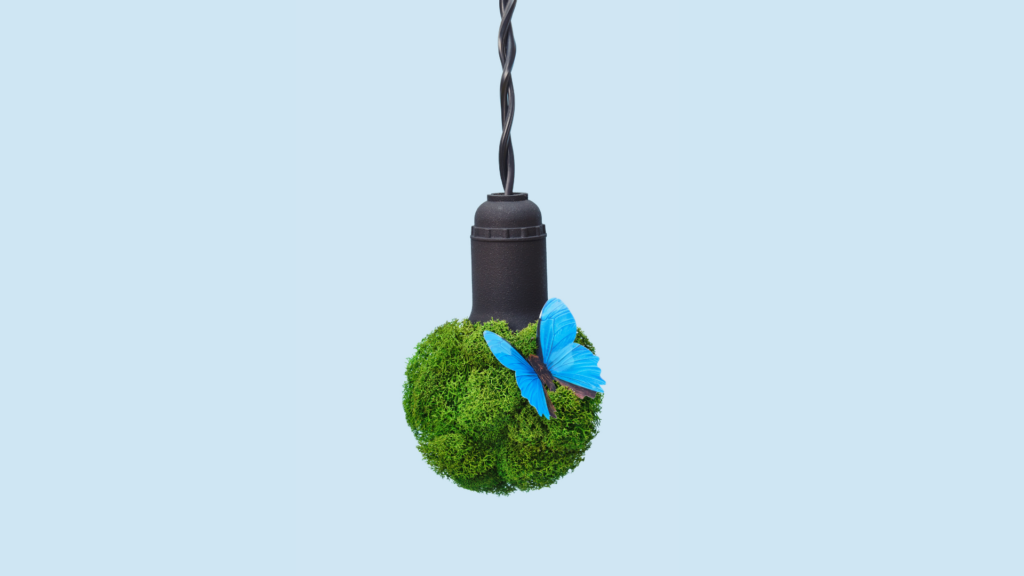 Lampadina sospesa con muschio verde e farfalla blu, su sfondo azzurro chiaro